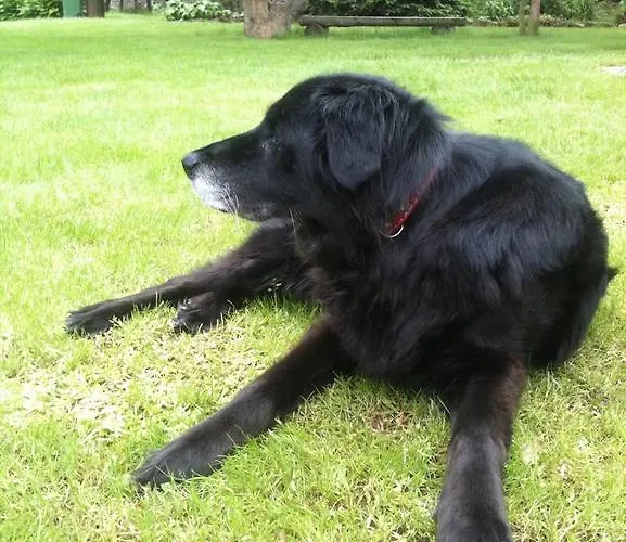 U Macieja Bauernhof *